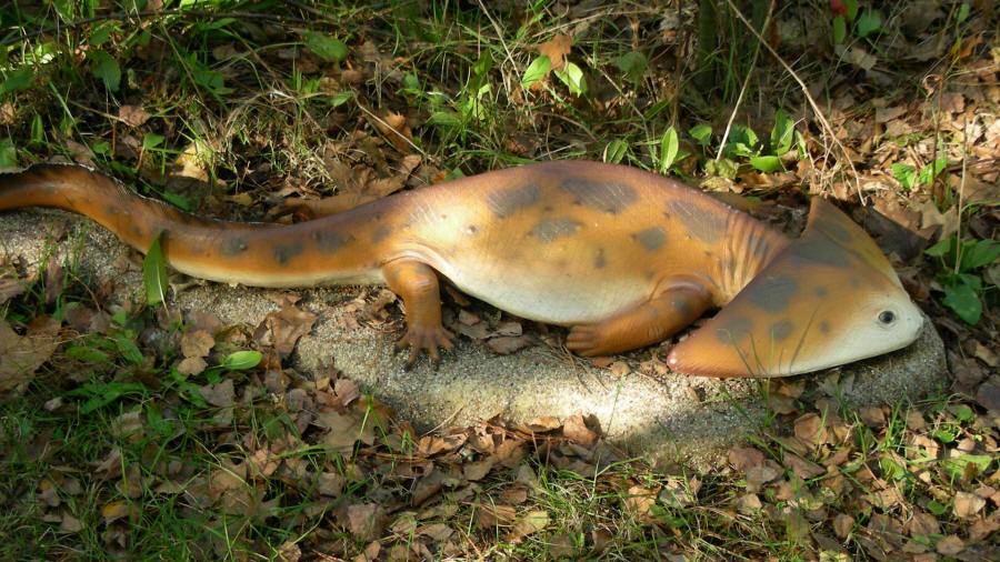 dinosaurer, pattedyr, istids forhistoriske dyr, modelstudie 03