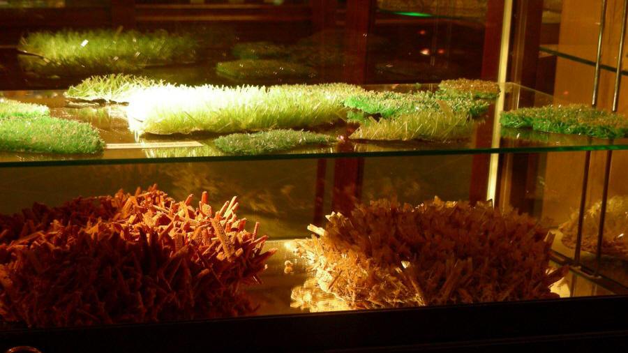 dinosaurer, pattedyr, istids forhistoriske dyr, modelstudie 04