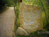 dinosaurer, pattedyr, istids forhistoriske dyr, modelstudie01