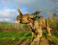 dinosaurer, pattedyr, istids forhistoriske dyr, modelstudie06