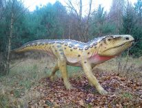 dinosaurer, pattedyr, istids forhistoriske dyr, modelstudie08