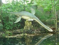 dinosaurer, pattedyr, istids forhistoriske dyr, modelstudie10