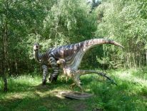 dinosaurer, pattedyr, istids forhistoriske dyr, modelstudie30